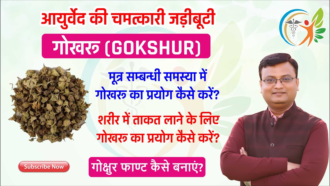गोखरू के फायदे। गोखरू का प्रयोग कैसे करे। गोखरू फाण्ट। Dr. prateek Agrawal (0046)