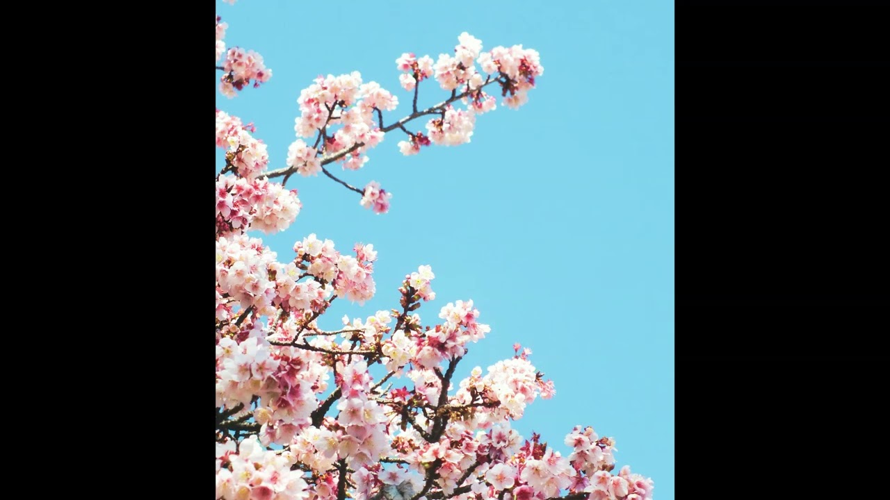 Chill Pop x Soft Pop Type Beat 