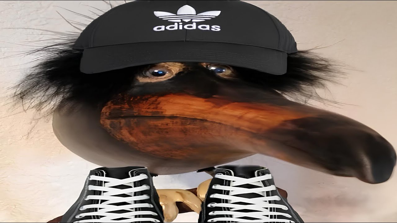 Top 5 Skebob