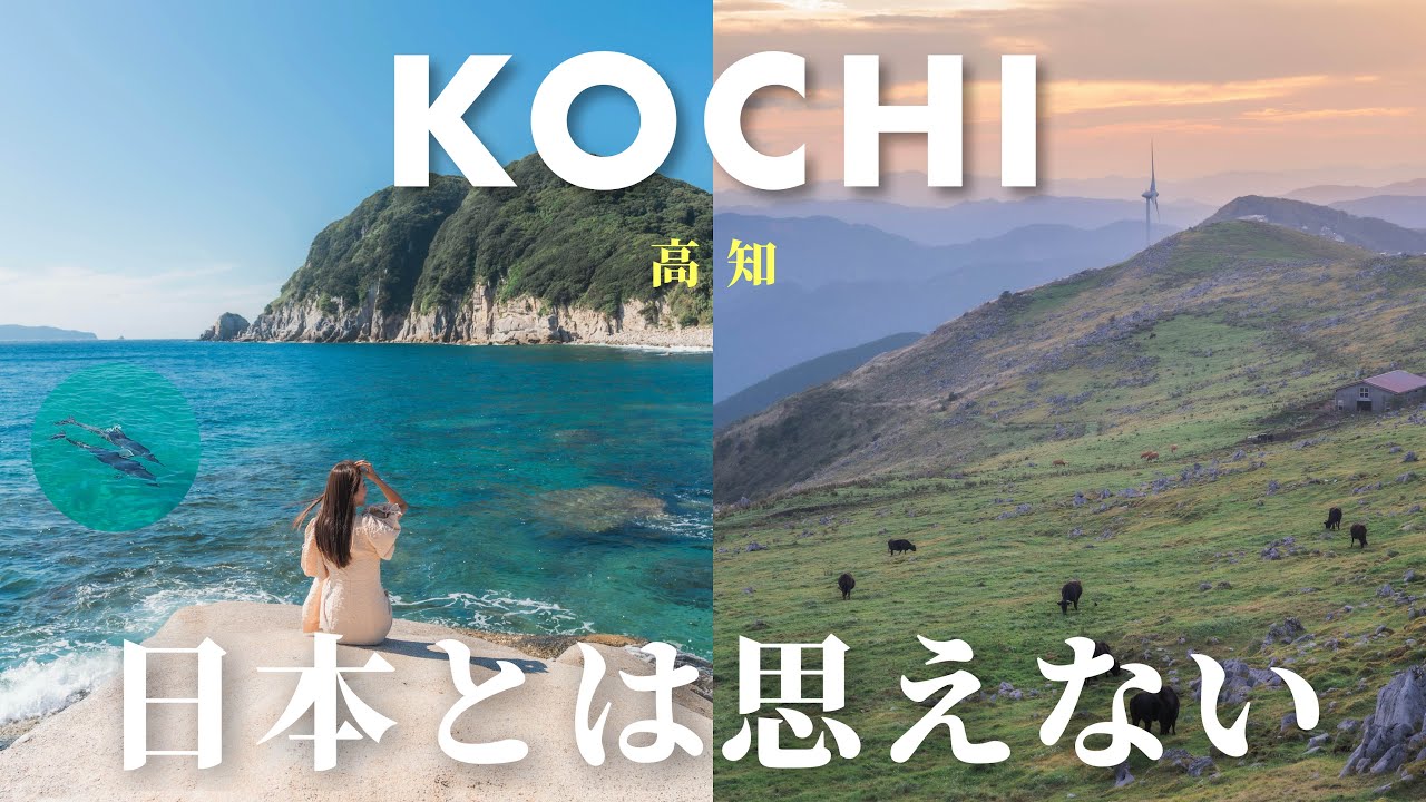 【高知Vlog】日本とは思えない絶景が続く2泊3日旅｜仁淀ブルー・柏島・四国カルスト