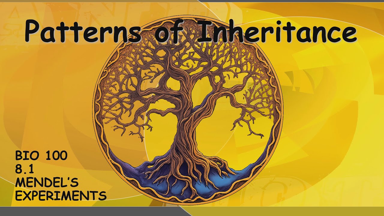 Laws of Inheritance : Mendel's experiment