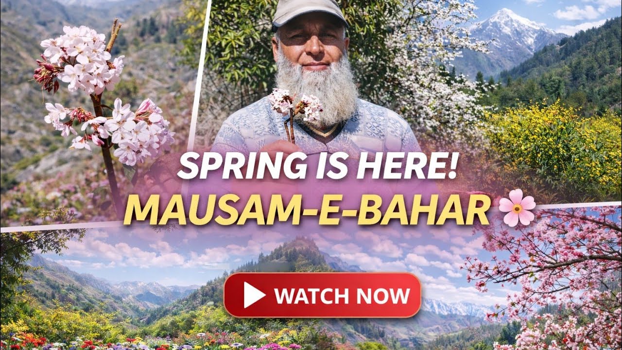 Welcome Spring – Season of Blossoms ||Colors of Spring in the Hills