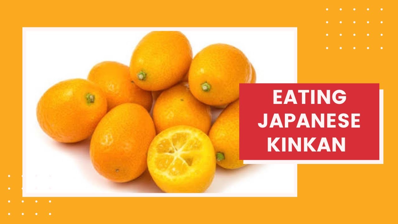 Eating Japanese KINKAN || Citrus Fruit