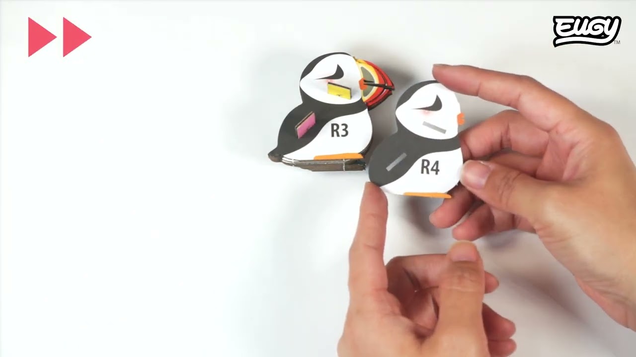 EUGY Puffin Instruction Video
