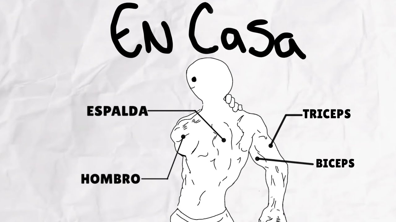 COMO Construir un FÍSICO ESTÉTICO Desde CASA