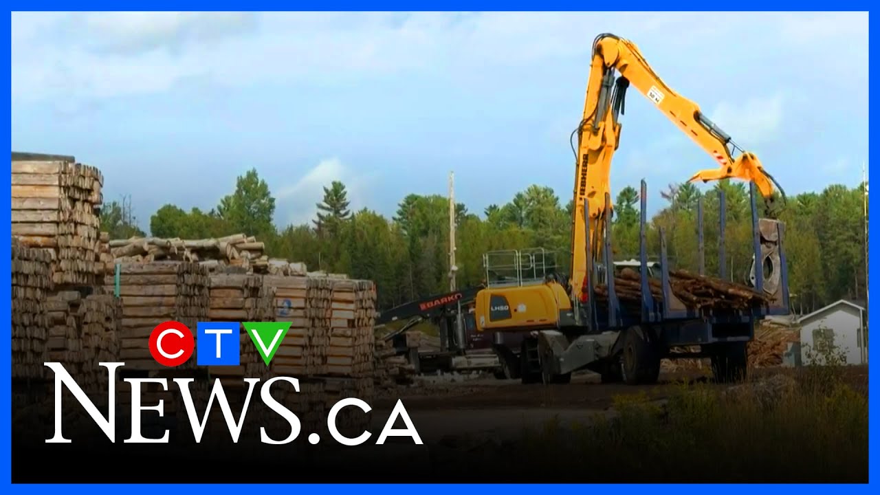 Maniwaki, Que. sawmill idling this fall
