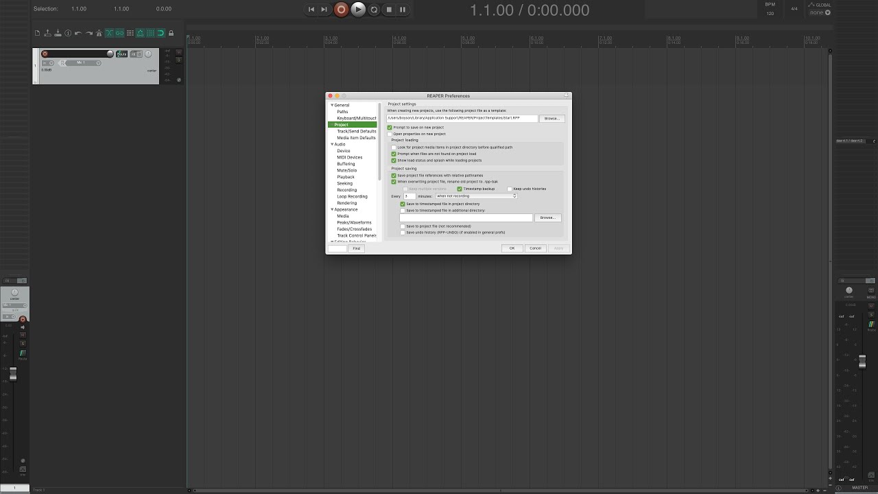 Настройка проекта в Reaper