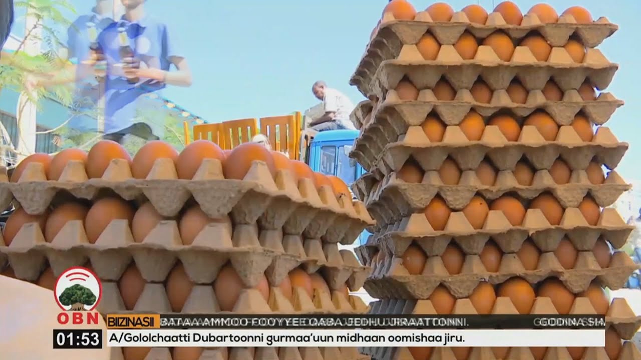 Oduu Bizinasii