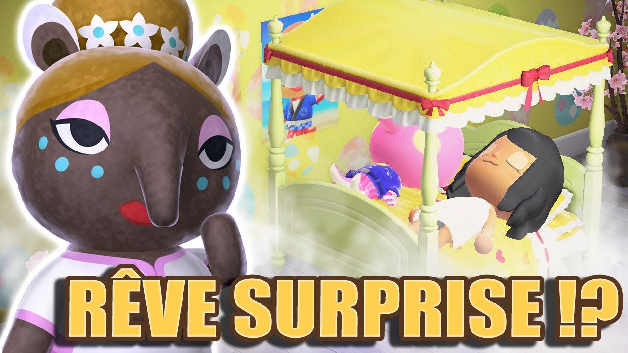 Code Onirique et R&ecirc;ve SURPRISE ?! | Animal Crossing New Horizons