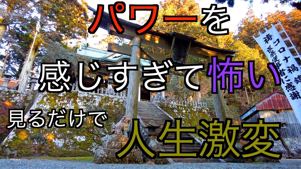 【パワーを感じる人多すぎ】パワーが強すぎて怖いと言われる日本一「玉置神社」遠隔参拝＃パワースポット＃開運