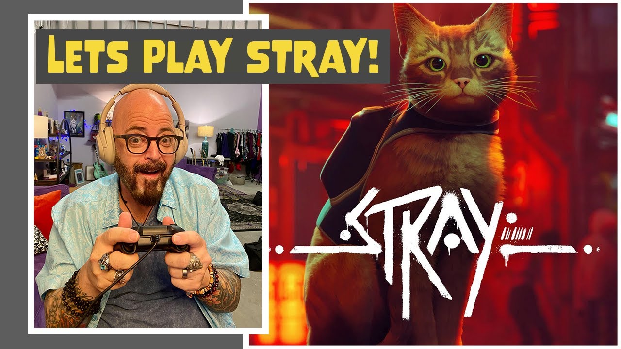 LET'S PLAY STRAY! [PART I]