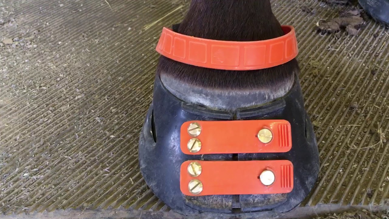 Post ride shim vs. no shim