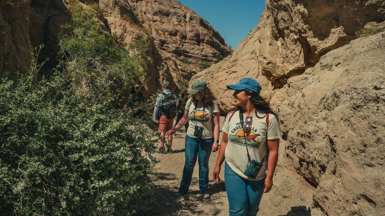 Proposed Chuckwalla National Monument: Protecting California’s desert landscapes