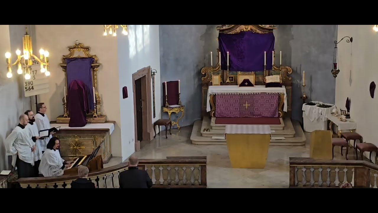 Orgel: Cantorum Duo plus; Greg.Antiphon 