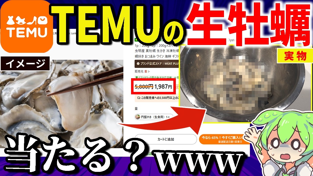 Temuで売ってた怪しすぎる「生牡蠣」食べたら当たるのか？【ずんだもん＆ゆっくり解説】