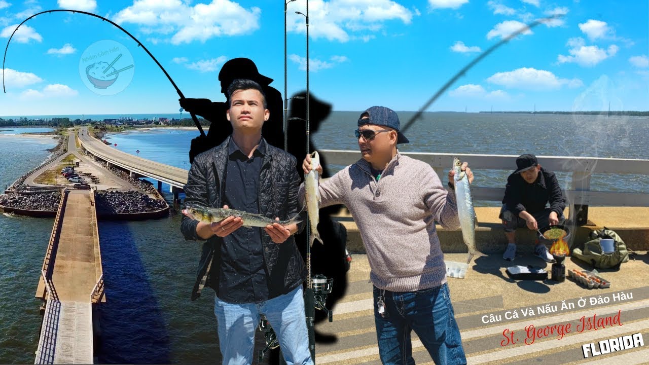 Câu Cá Và Nấu Ăn Ở Đảo Hàu ► bầm dập tại vịnh kho báu (St. George island, Florida, Mỹ)