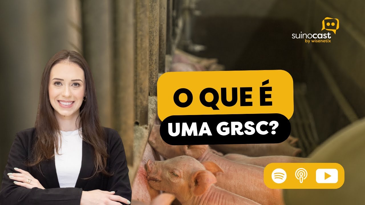 O Que &eacute; Uma GRSC? - Pauline Guidoni