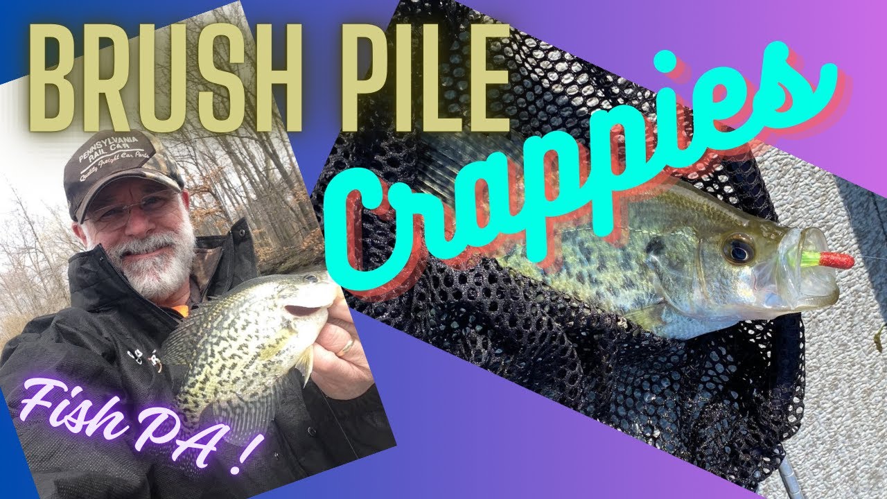 Brush Pile Crappies: Fish Snag Free!