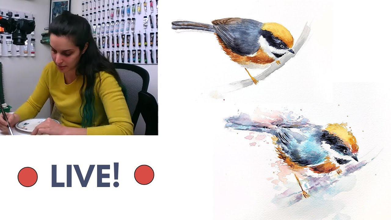 🔴 DIRETTA! 🔴 Acquerello realistico vs Acquerello "loose"✏️🖌🎨