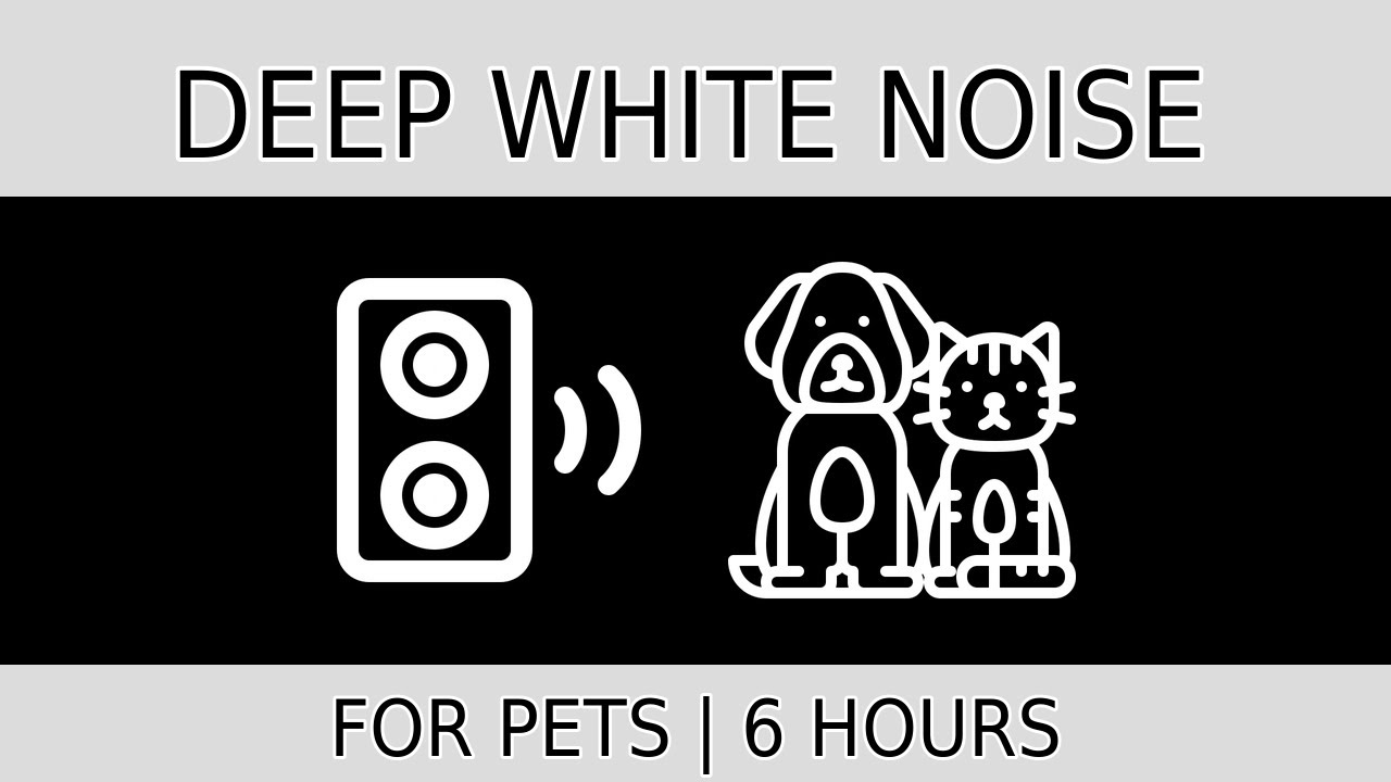 Deep White Noise for Pets