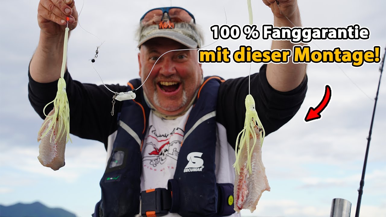 Hiermit fängst du JEDEN Fisch in Norwegen!