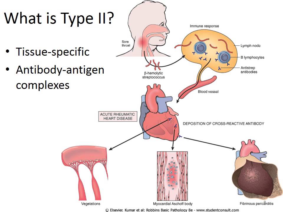 Hypersensitivity & autoimmune diseases, PART 1of2 Recorded Lecture