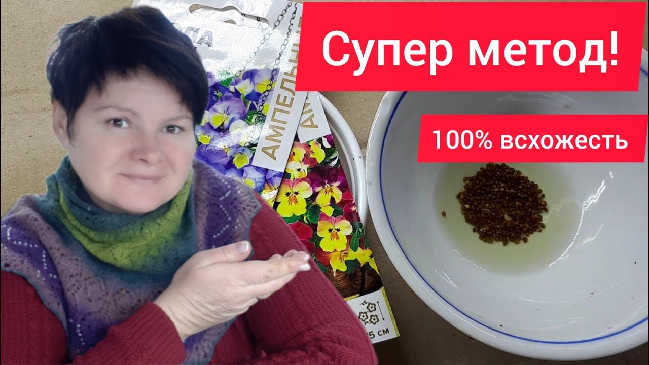 ПРАВИЛА ПОСЕВА