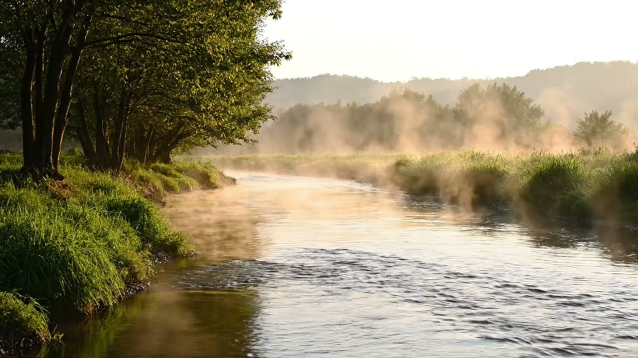 Relaxing Water Stream Sounds 🌿 1 Hour Flowing River Ambience