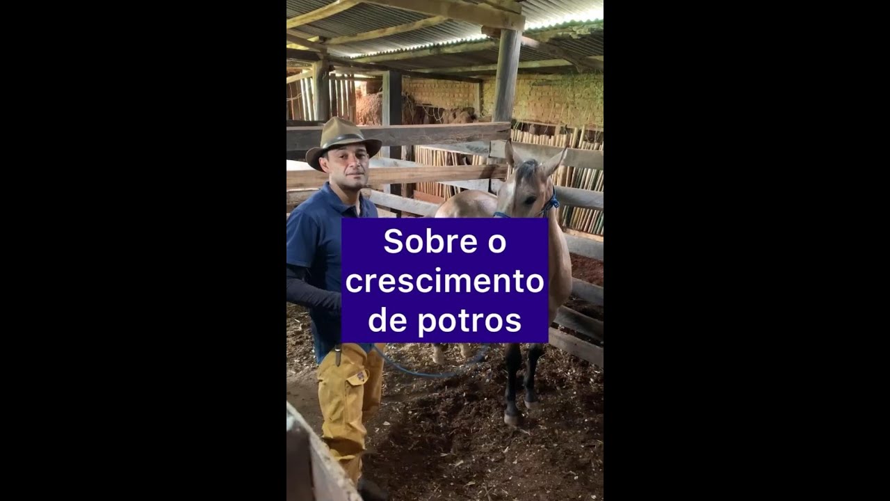 Crescimento de Potros