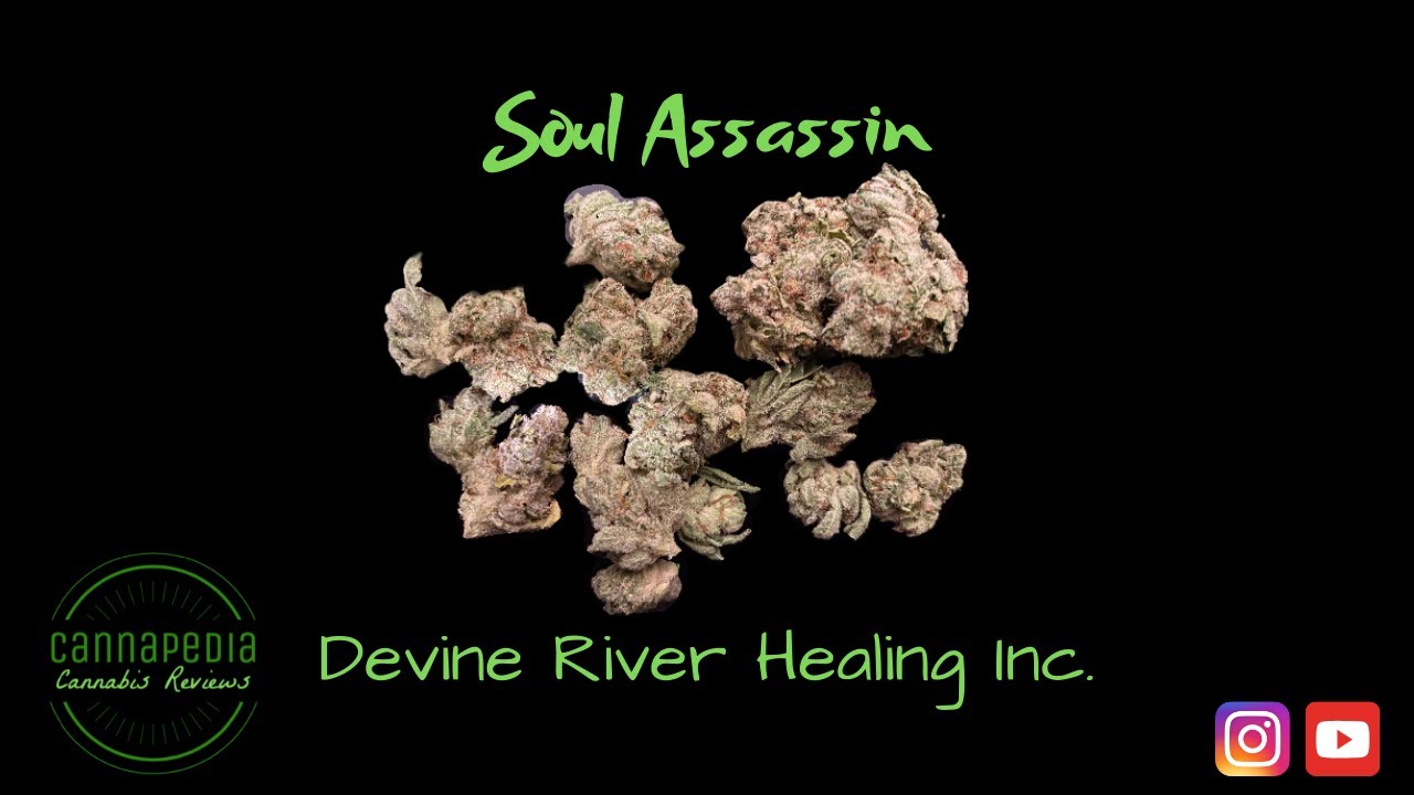 Soul Assassin Strain Review - Mohave Reserve - Cannapedia