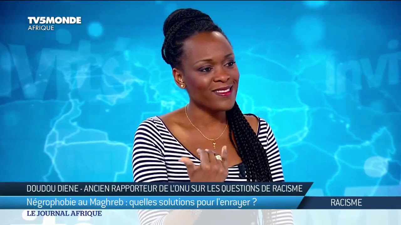 Racisme en Afrique du nord : l'analyse de Doudou Diène