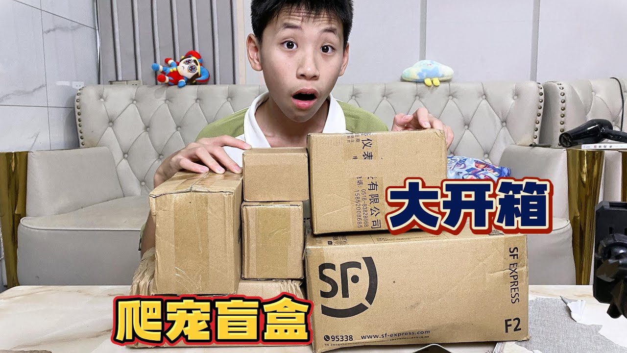 爬宠盲盒大开箱，商家说能开出变色龙？开出的动物有的还有毒