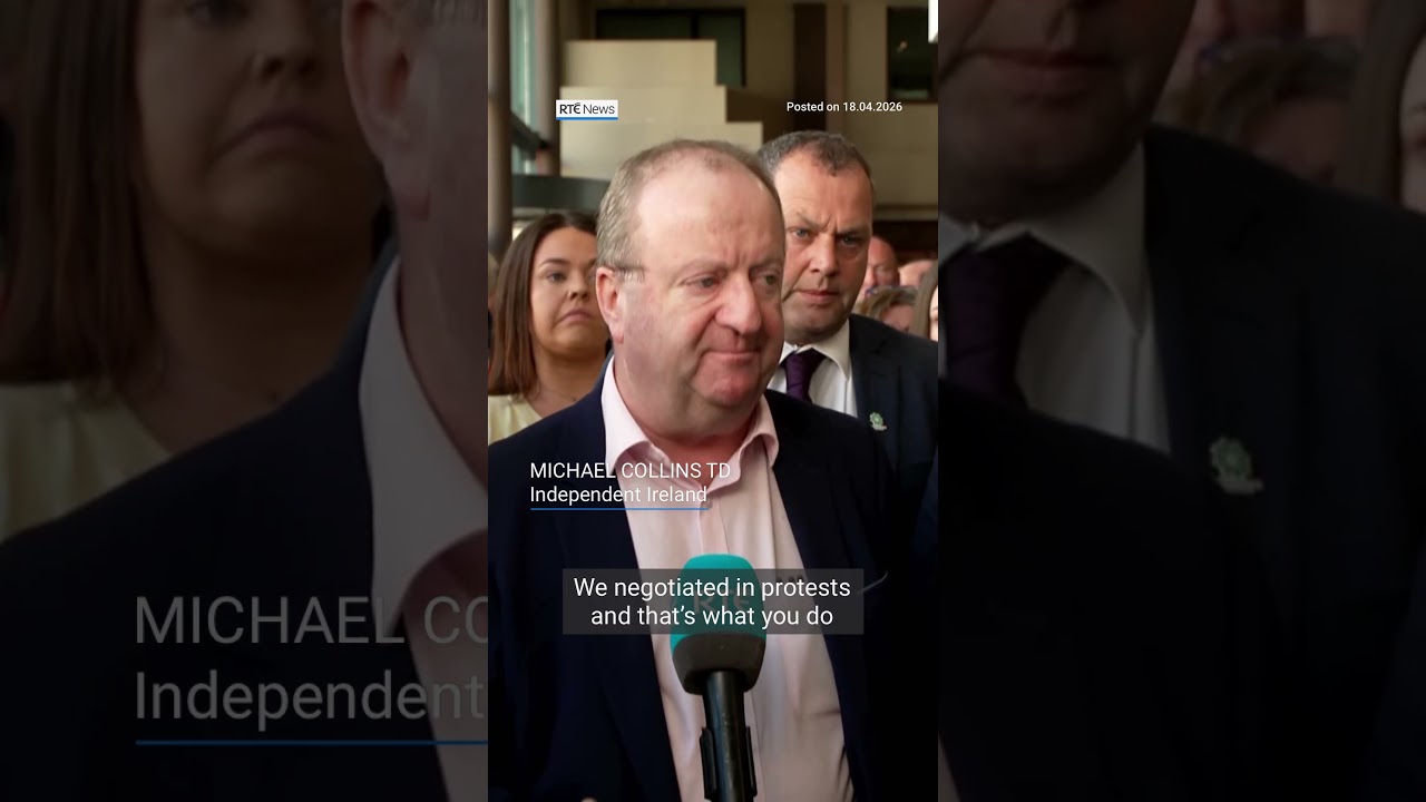 Протесты свидетельствуют о высоком уровне недовольства правительством - Коллинз | #RTENews #ireland
