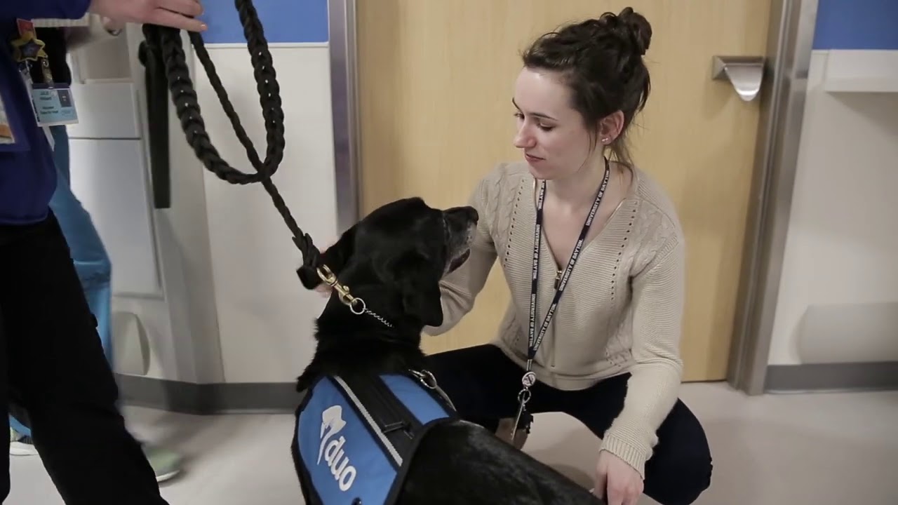 Dog Dialogue - Pet Therapy at St. Louis Children's Hospital