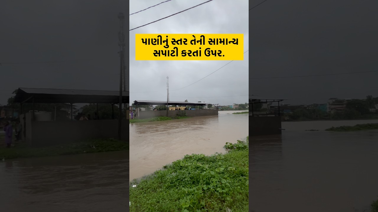⚠️ Sherpura Village Flood Alert | Current Water Level Report #flood #bharuch