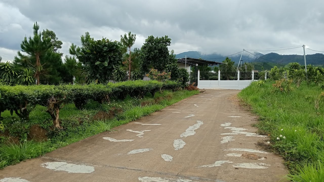 2.5 sào Bảo Lộc, 100m mặt đường chỉ 2ty. 