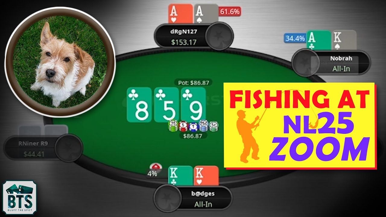 High Stakes Online Poker Pro MMAsherdog Reviews 25NL on PokerStars!