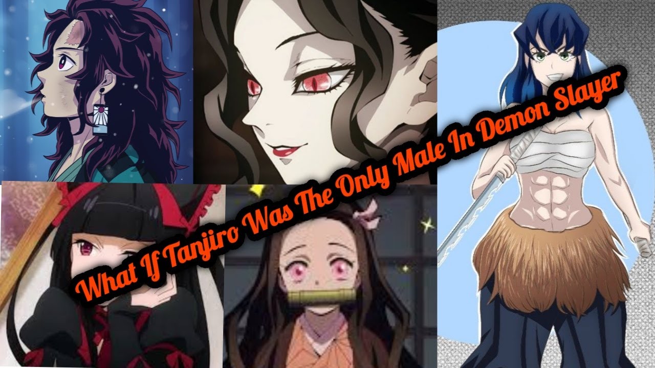 What If Tanjiro Was The Only Male In Demon Slayer Part 0