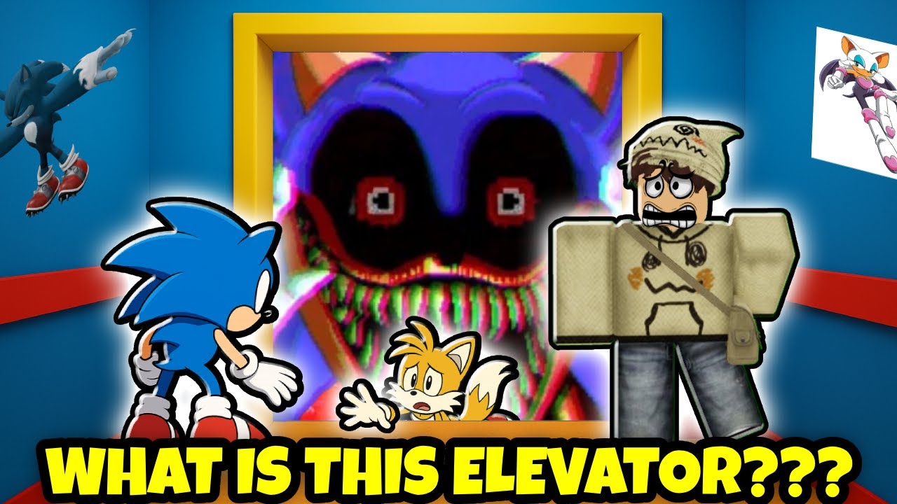 I Entered the Sonic Elevator on Roblox... BIG Mistake!