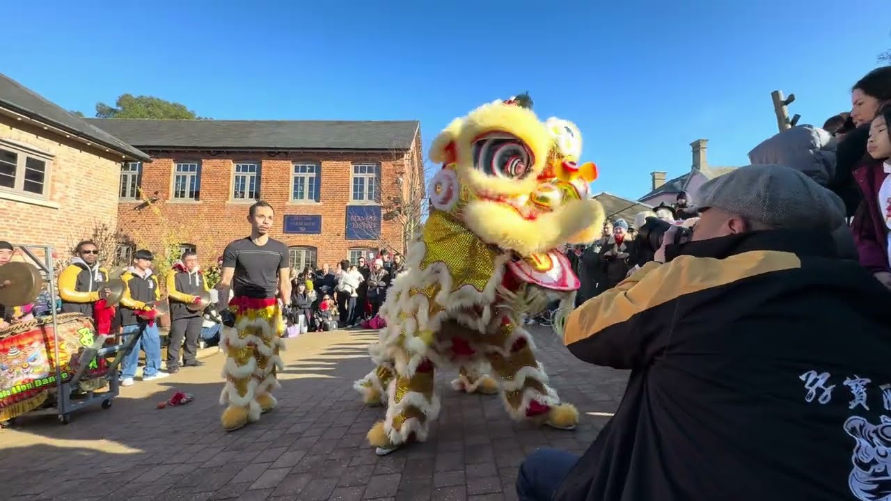 Belvoir Village - Lion Dance Lunar New Year 2026