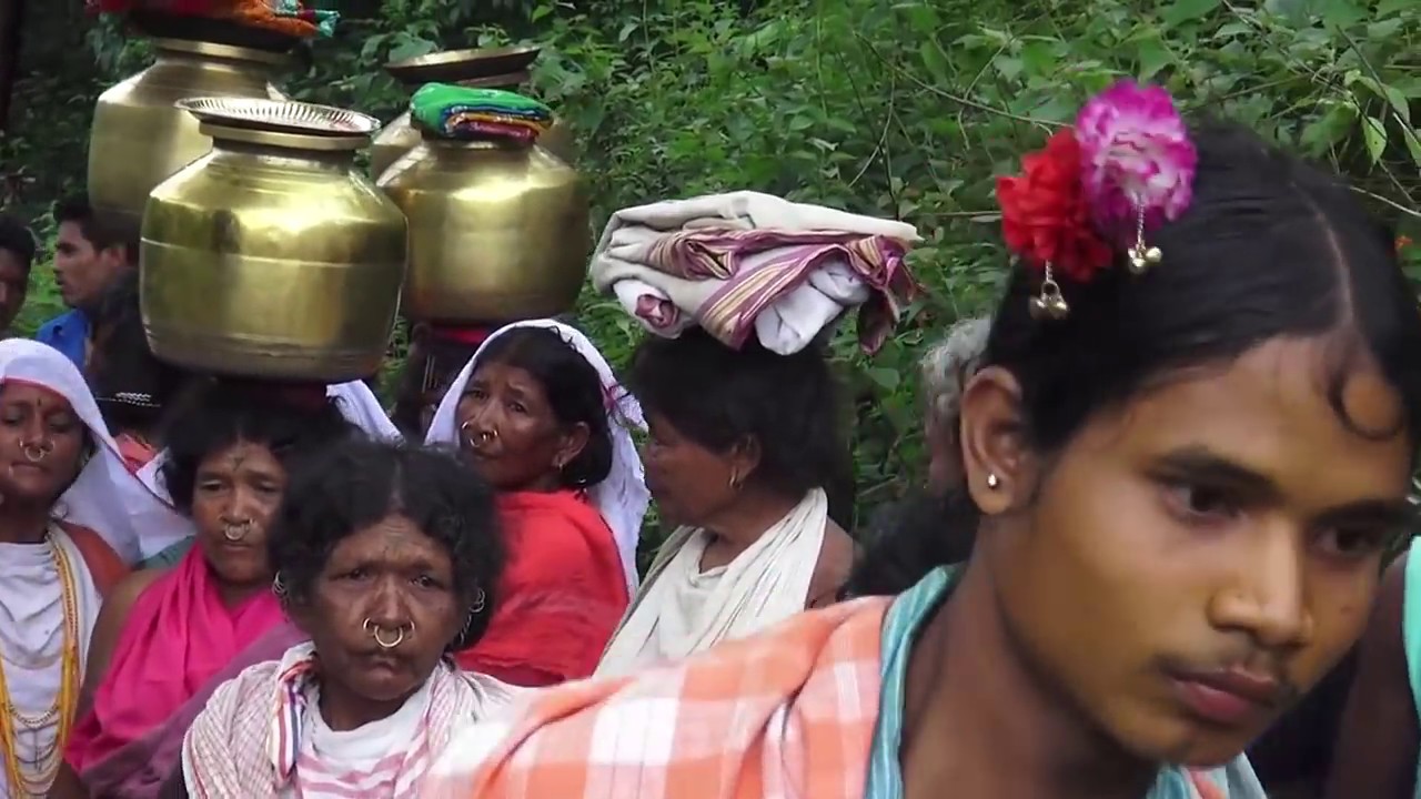 Niyamgiri Dongrias : When Cuckoos Stopped Singing. Amidst fight with the mining company Vedanta