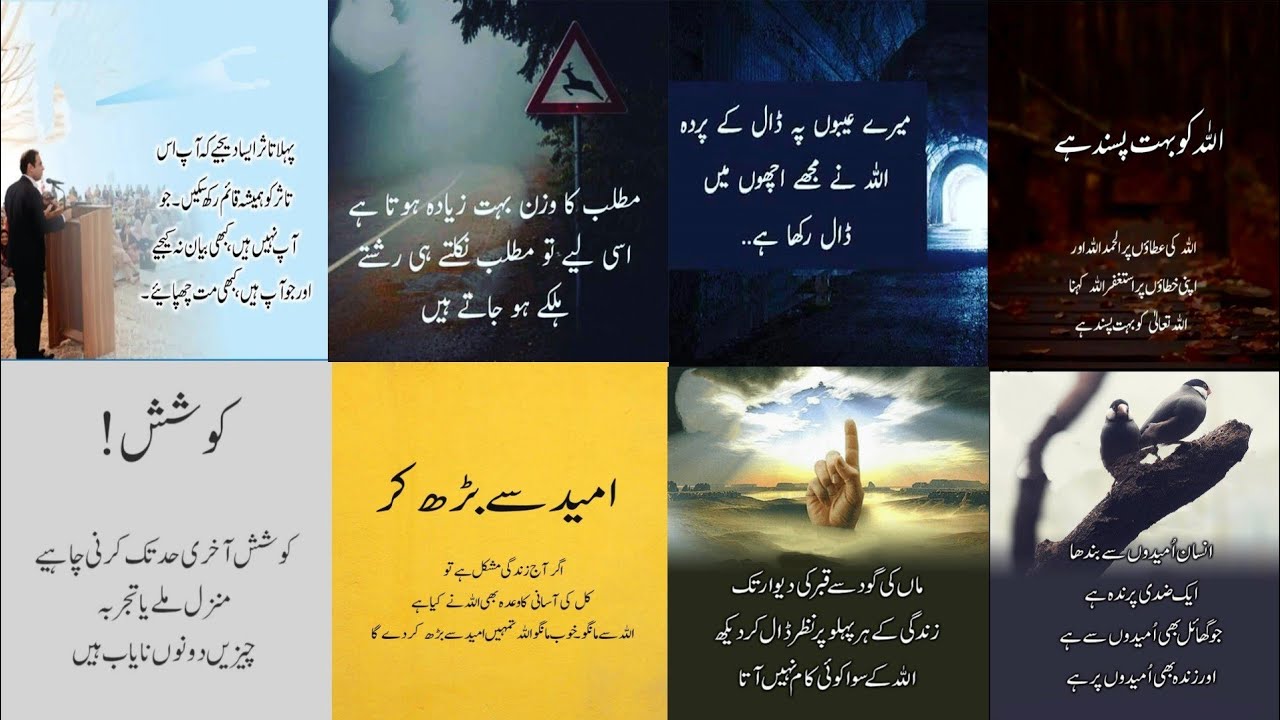 Islamic Quotes Collection | Motivational quotes in urdu | Golden words urdu | Quotes Hindi/Urdu