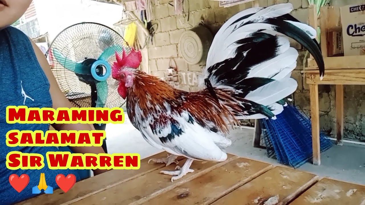 NAIWANG ALAALA NI SIR WARREN 