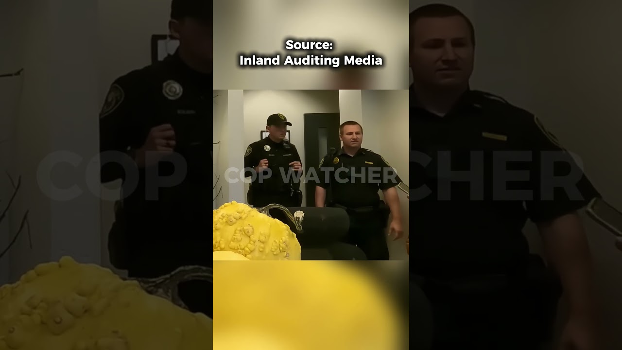 TRIGGERED PUBLIC SERVANT OWNED BY AUDITOR #firstamendmentaudit #karenstrikesagain #karenarrested