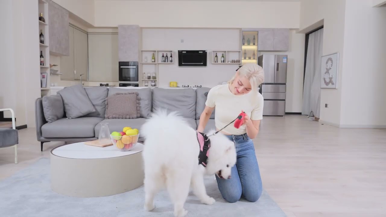 Laresar Saugroboter Grande 2