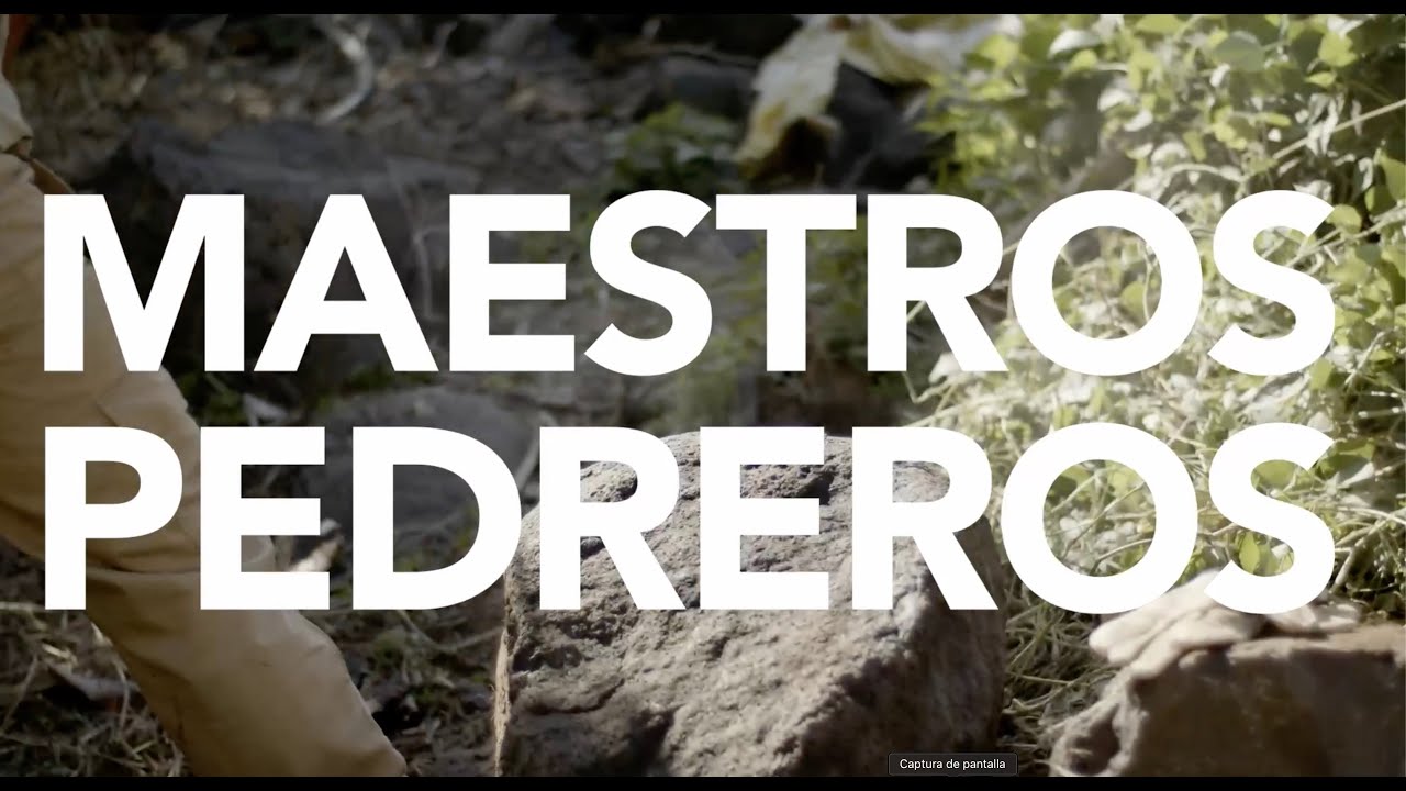MAESTROS PEDREROS