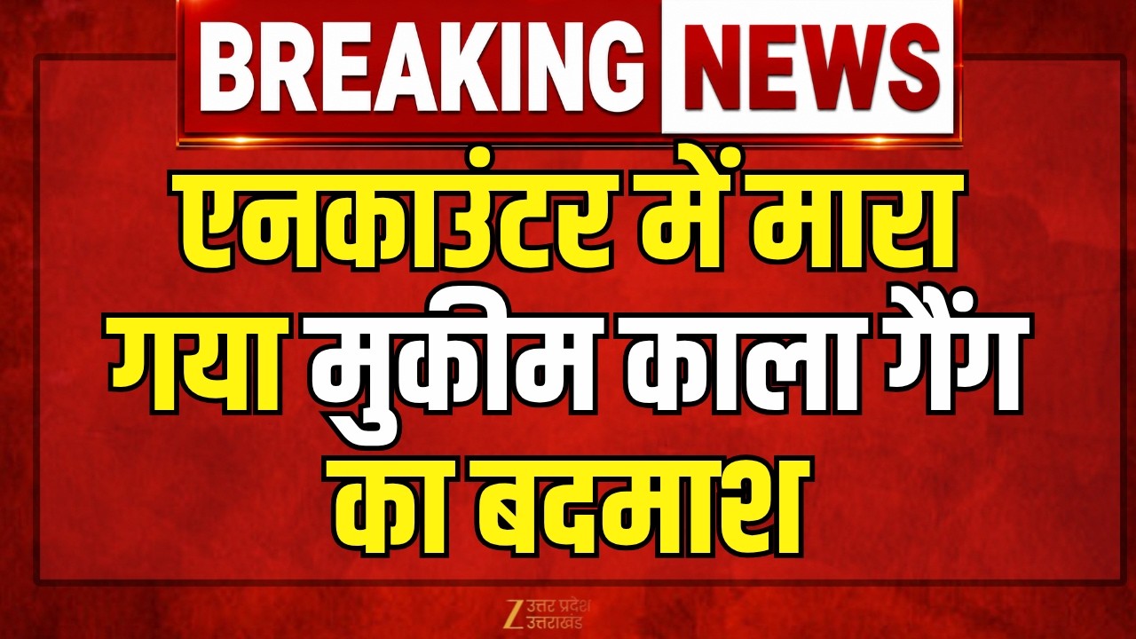 Shamli Encounter Breaking News : मुकीम काला गैंग का बदमाश ढेर | UP Police | Zee UPUK |