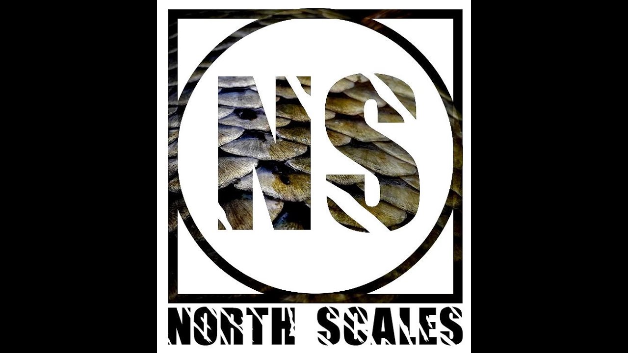 Carpfishing Caspe, Octubre 2020 (NORTH SCALES)