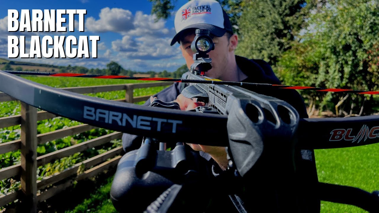 Лучший бюджетный рекурсивный арбалет? Barnett Blackcat: настройка и стрельба — Tactical Archery UK