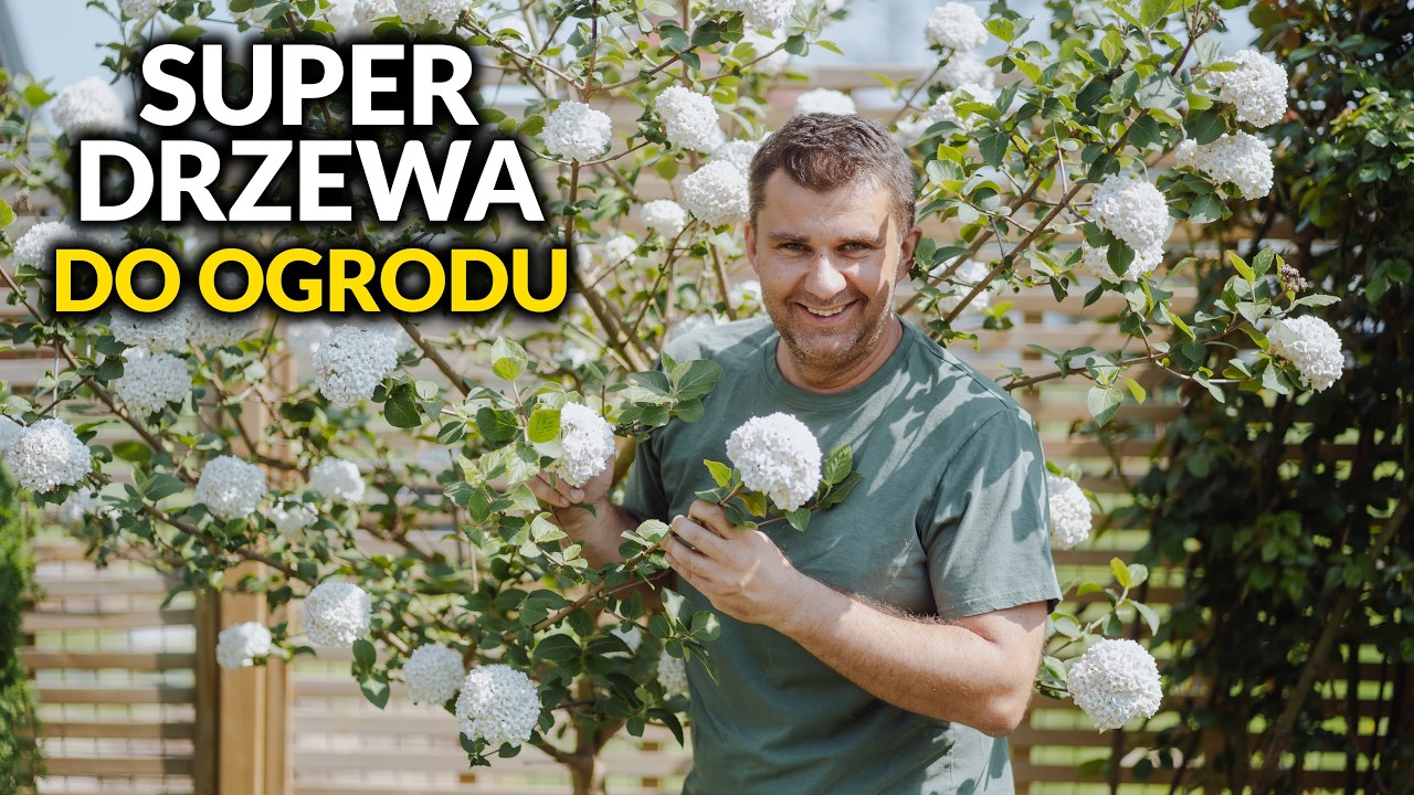 Super drzewa do małego ogrodu. Wiosenny spacer po ogrodzie. Wow!Garden